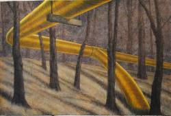 Yellow Pipe in the Woods