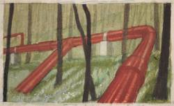 Red Pipe In Woods III