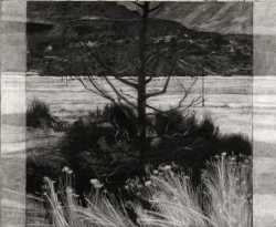 Glade Series: Lone Tree (Southwest0