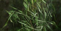 Riparian Series: Elements Grass IX